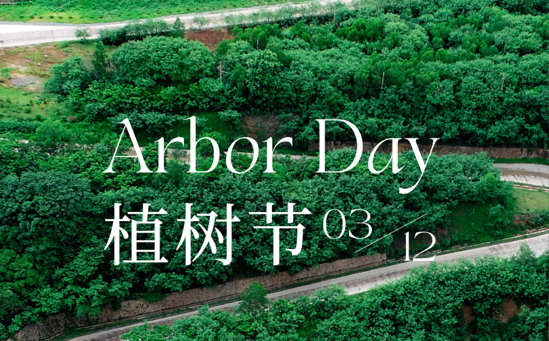 植树节 | 开云官方网页版-开云online(中国)
开云官方网页版-开云online(中国)的绿色画卷
